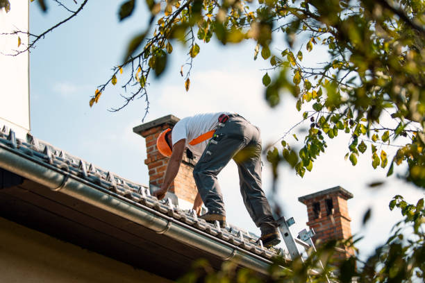 Best Metal Roofing Contractor  in Jennings, LA