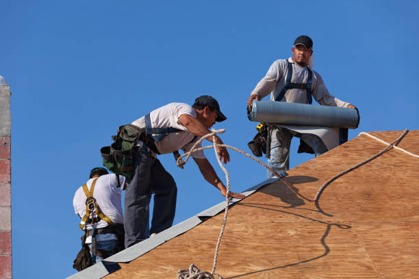Professional Roofing Contractor in Jennings, LA